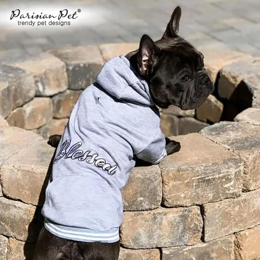 2 PARISAIN PET DOG OUTFITS XL